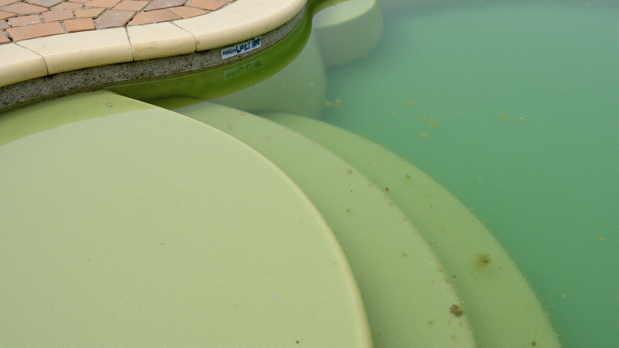 green water overnight causes