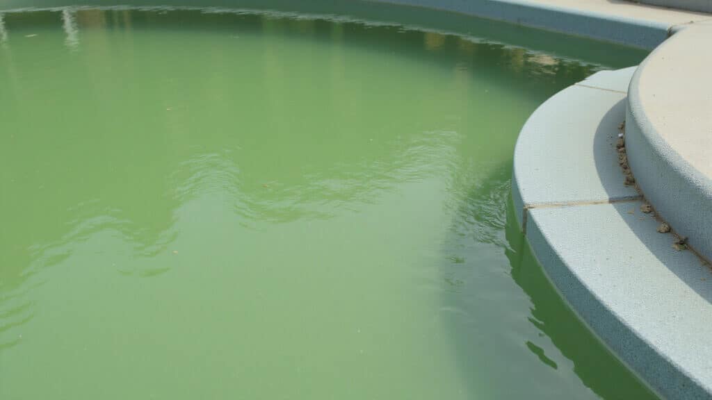 green pool water overnight incident