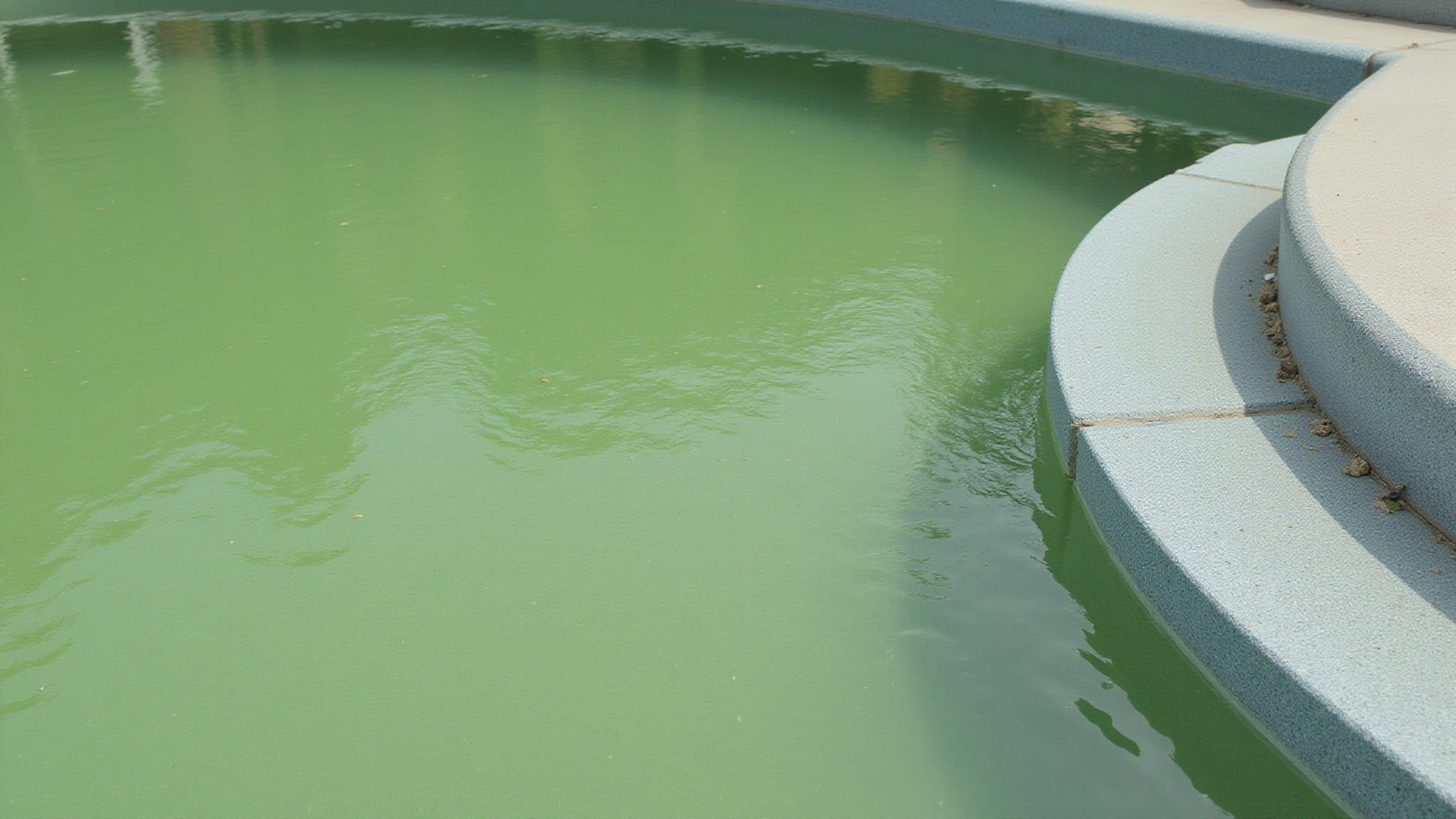 green pool water overnight incident