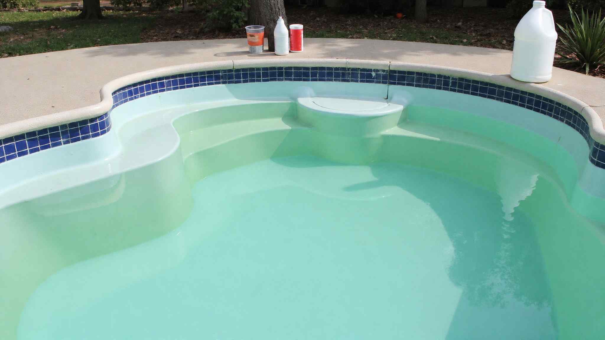 plain bleach kills pool algae