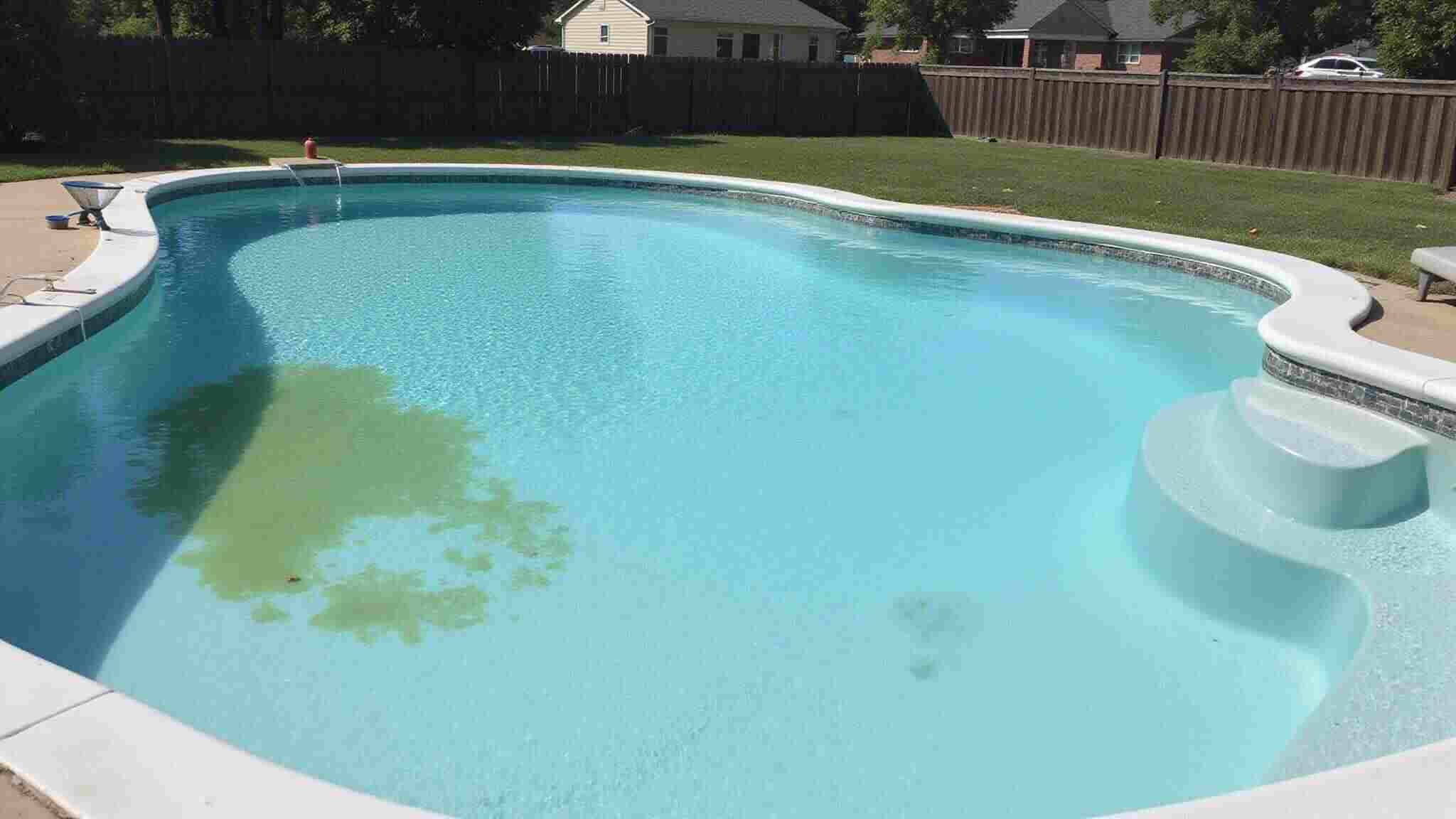 natural pool algae prevention